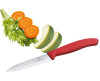 Victorinox 6.7701 10cm Soyma Bıçak Kırmızı Sivri