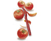 VICTORINOX KIRMIZI DOMATES SOYACAK 7.6075.1